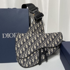 Dior Saddle Bags